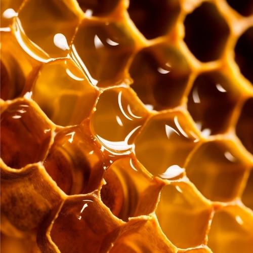 Honey Vanilla Lip Nectar