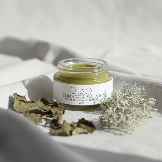 Forager Herbal First Aid Salve